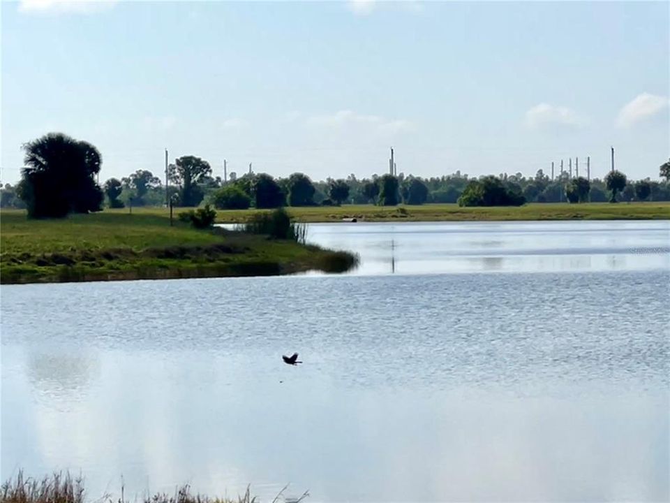 For Sale: $14,888 (0.18 acres)