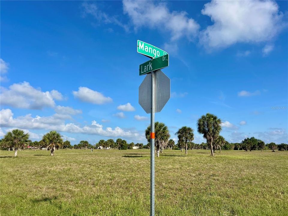 For Sale: $14,888 (0.18 acres)