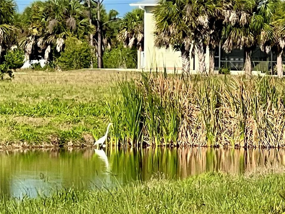 For Sale: $14,888 (0.18 acres)
