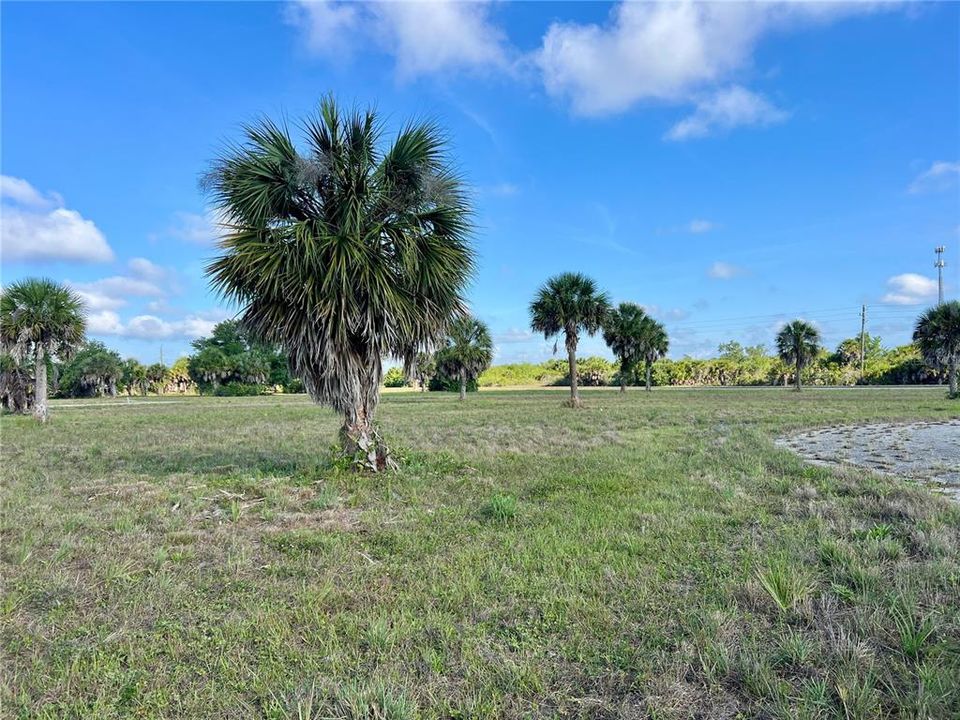 For Sale: $14,888 (0.18 acres)