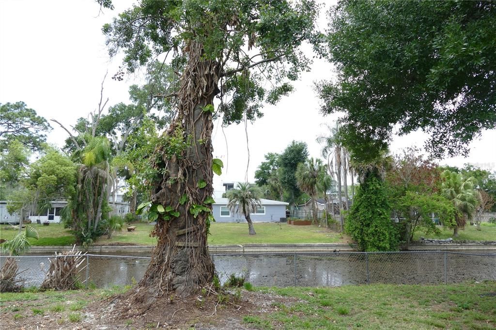 For Sale: $464,900 (3 beds, 3 baths, 1967 Square Feet)
