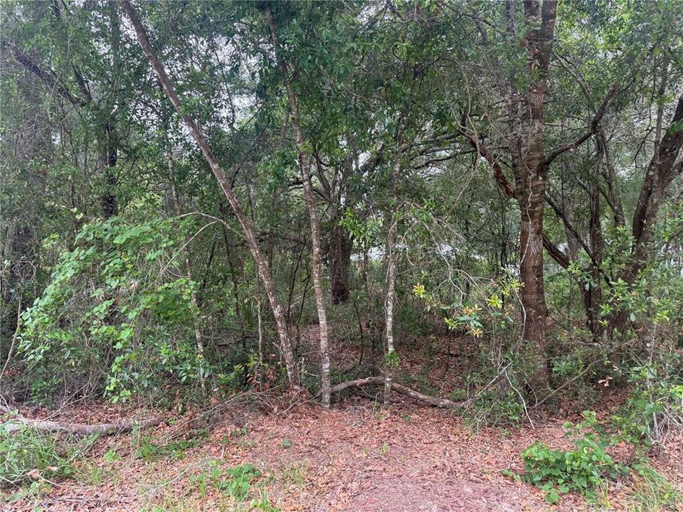 En Venta: $18,400 (0.22 acres)