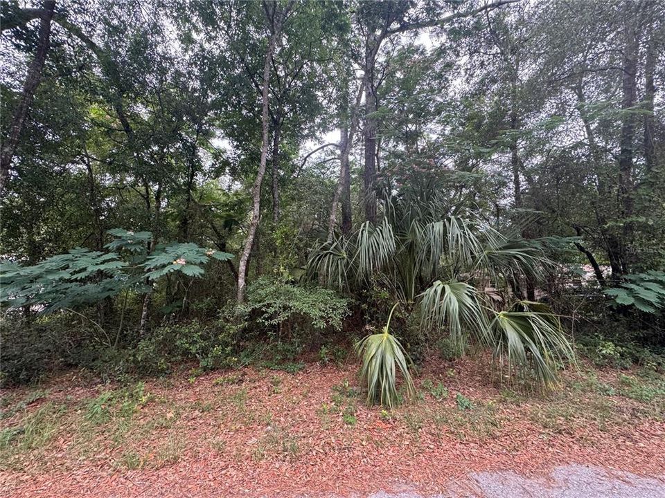 En Venta: $18,400 (0.22 acres)