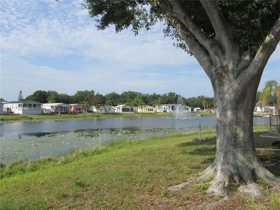 For Sale: $89,000 (0.10 acres)