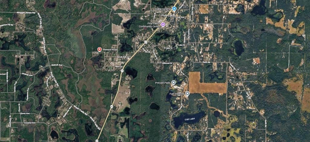 待售: $55,000 (1.29 acres)