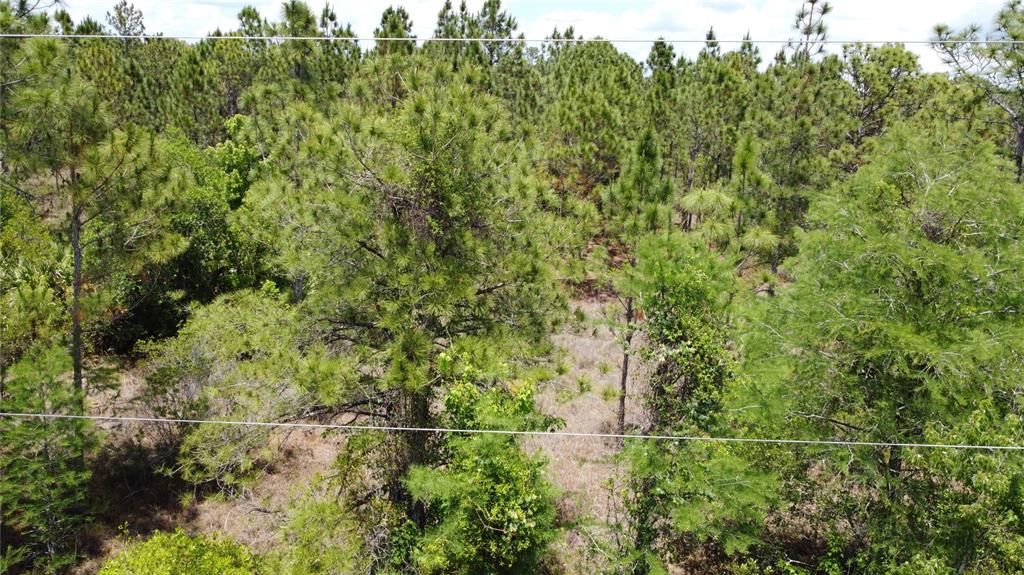 For Sale: $124,900 (1.03 acres)