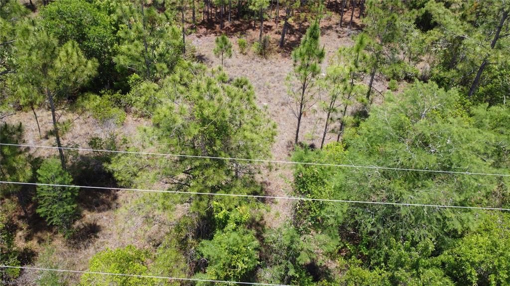 For Sale: $124,900 (1.03 acres)