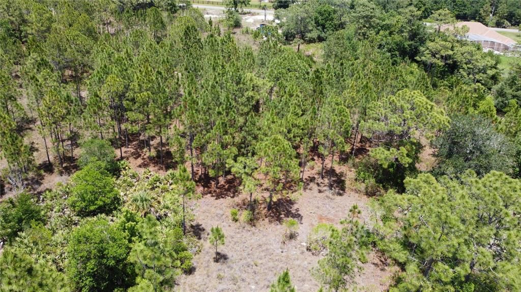 For Sale: $124,900 (1.03 acres)