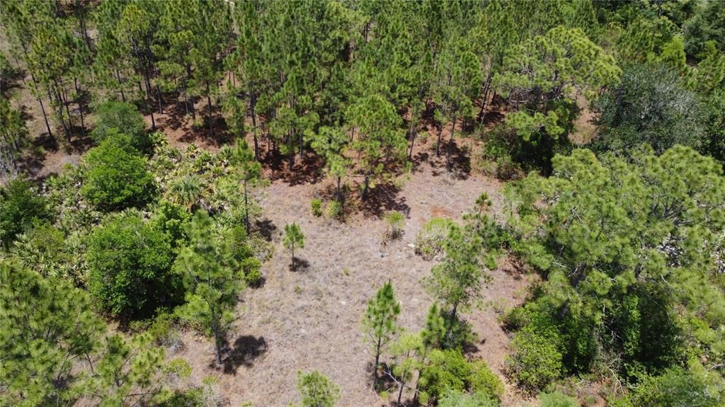 For Sale: $124,900 (1.03 acres)