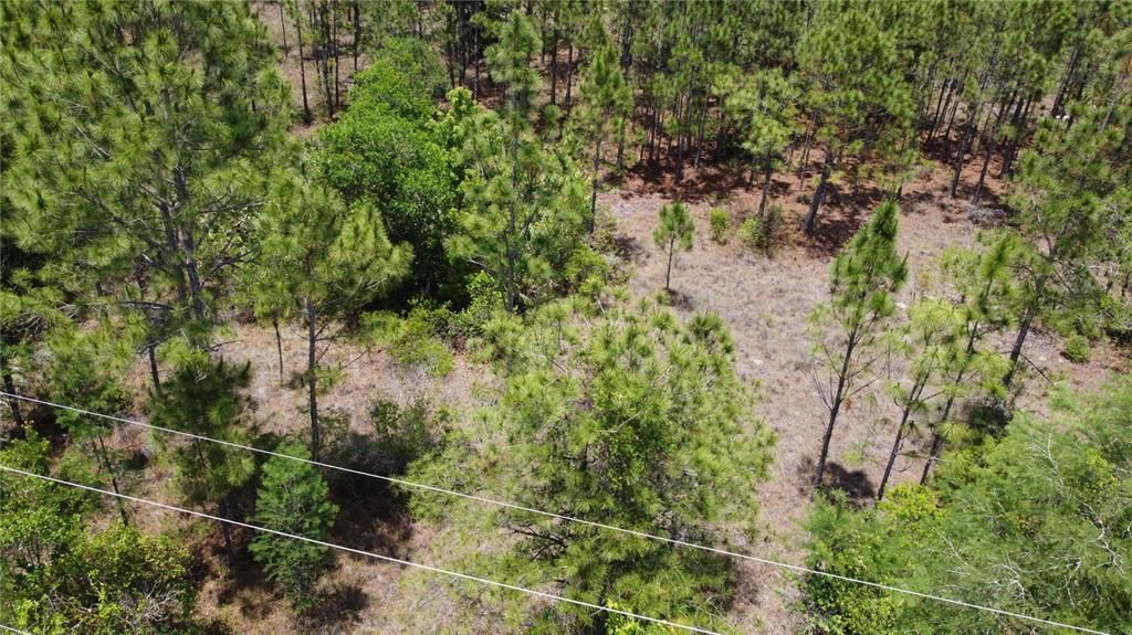 For Sale: $124,900 (1.03 acres)