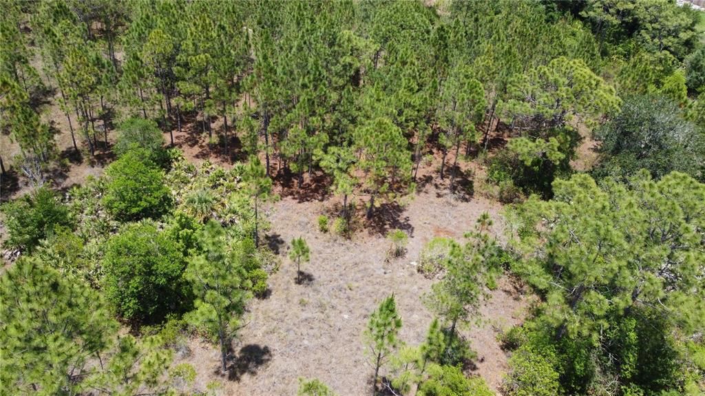 For Sale: $124,900 (1.03 acres)