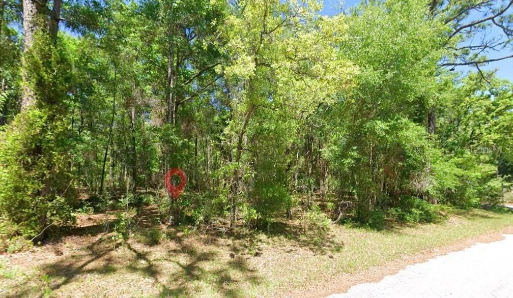For Sale: $49,000 (0.99 acres)