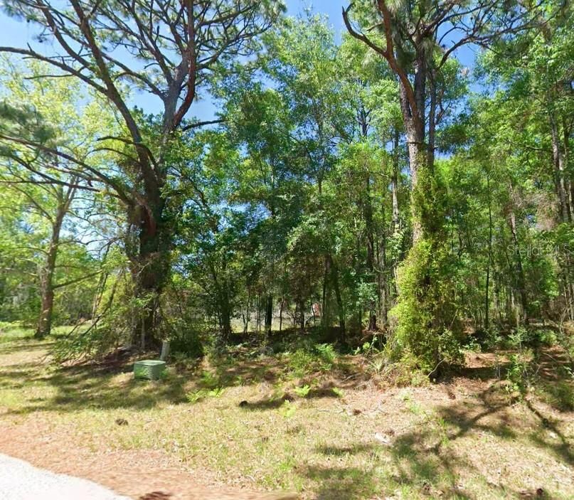 For Sale: $49,000 (0.99 acres)