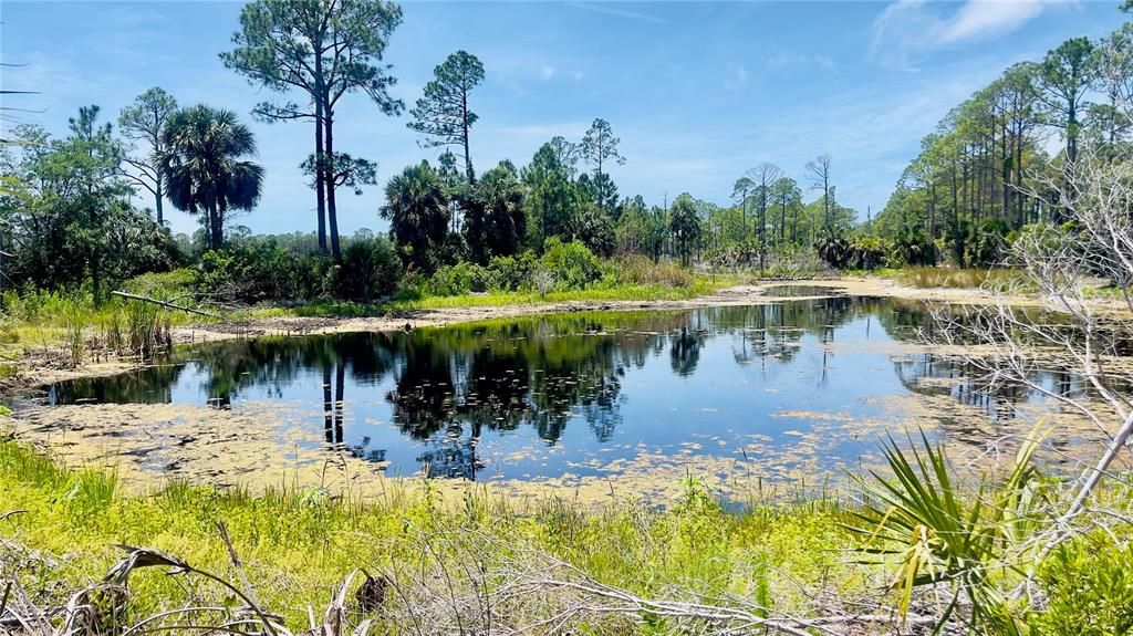 For Sale: $35,000 (8.27 acres)