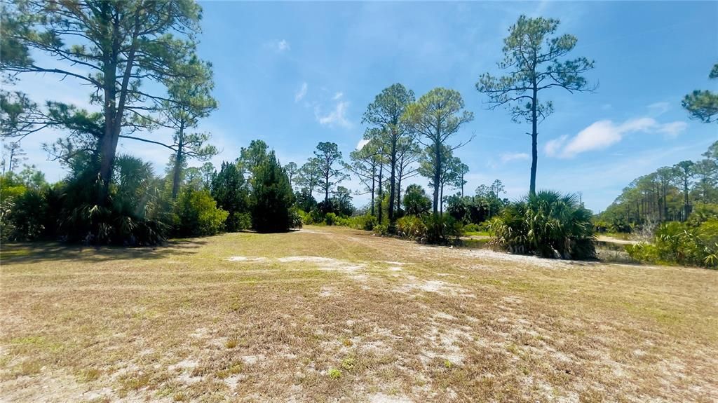 For Sale: $35,000 (8.27 acres)