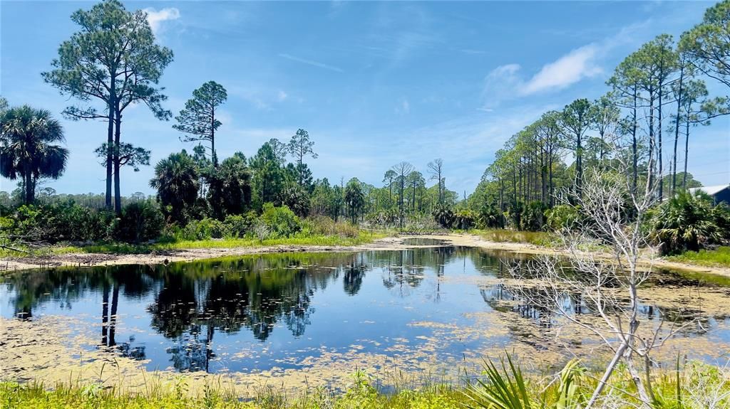 For Sale: $35,000 (8.27 acres)