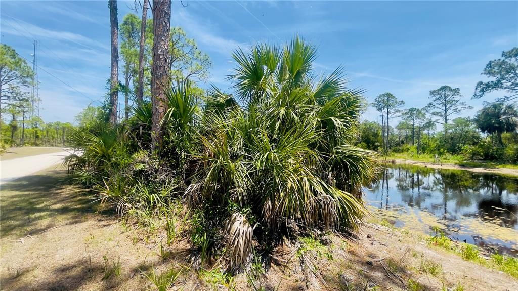 For Sale: $35,000 (8.27 acres)