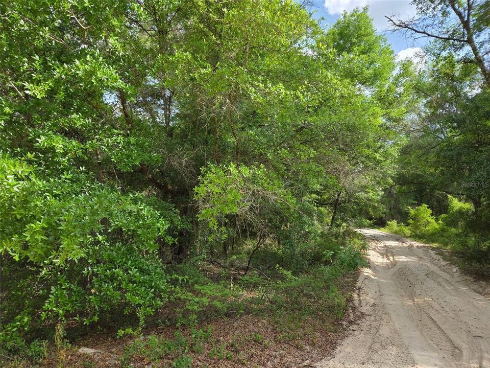 For Sale: $19,000 (1.25 acres)