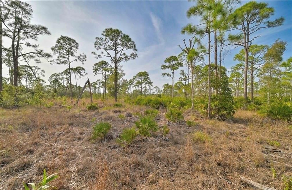 En Venta: $350,000 (5.05 acres)