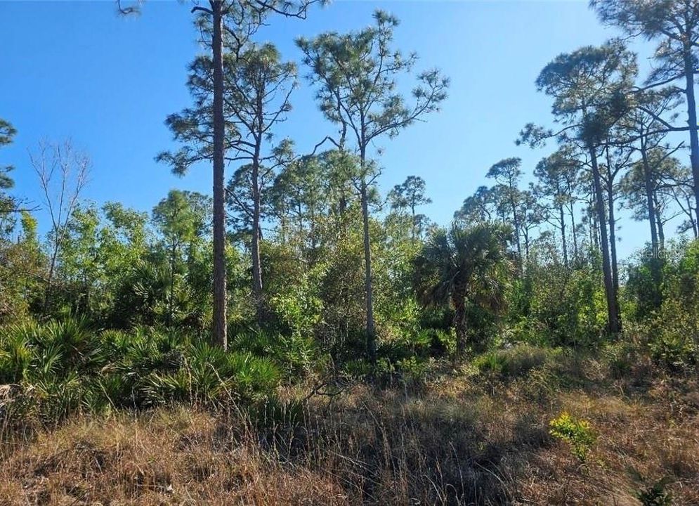 En Venta: $350,000 (5.05 acres)