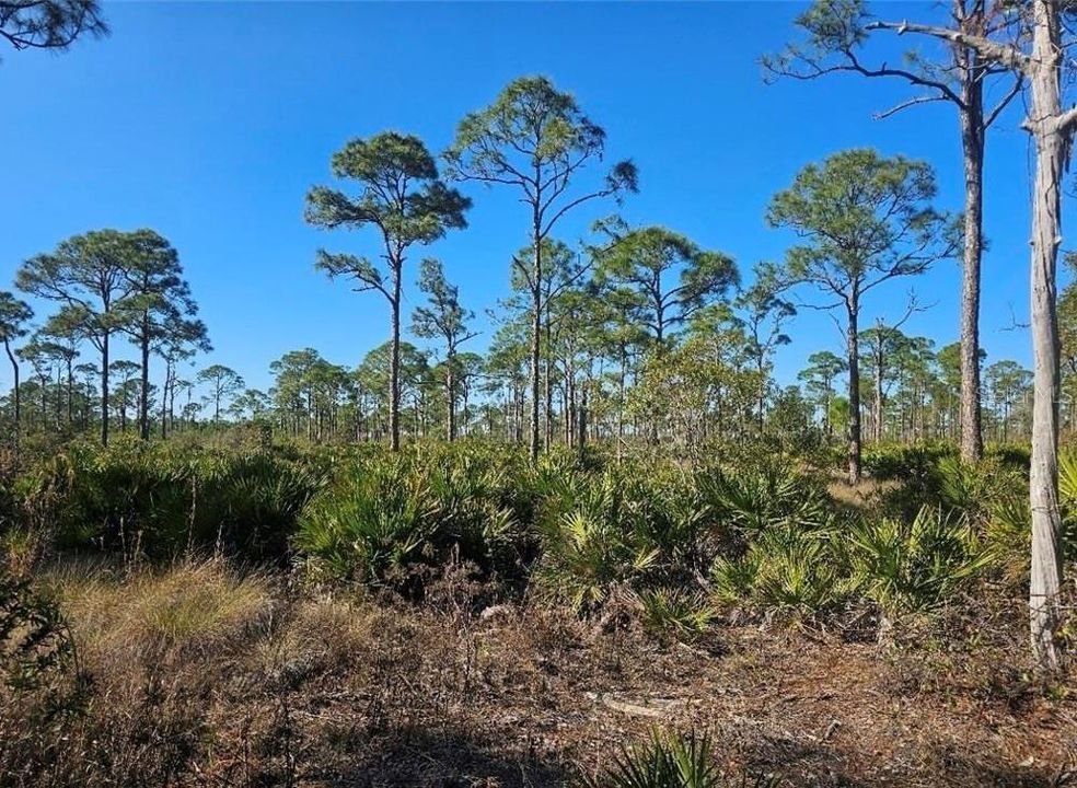 En Venta: $350,000 (5.05 acres)