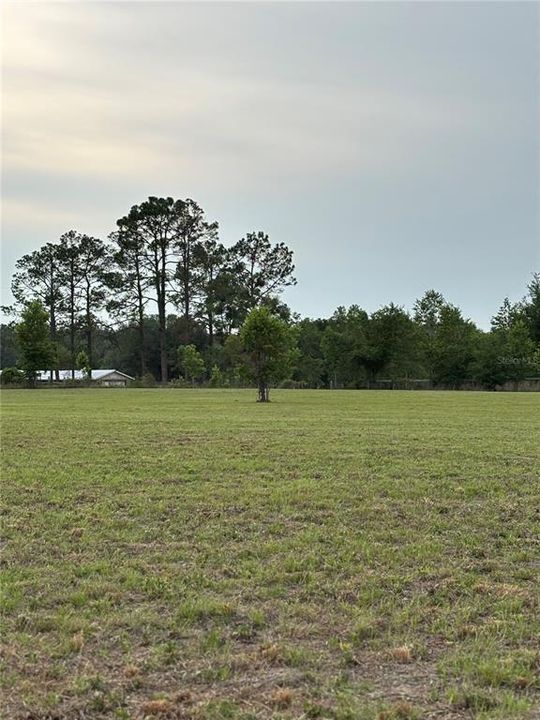 For Sale: $125,000 (5.01 acres)