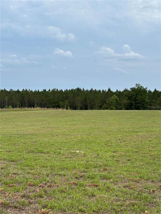 For Sale: $125,000 (5.01 acres)