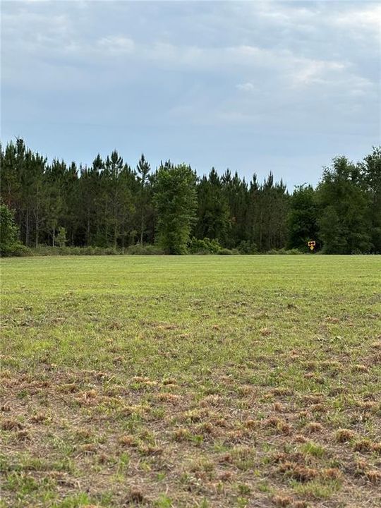 For Sale: $125,000 (5.01 acres)