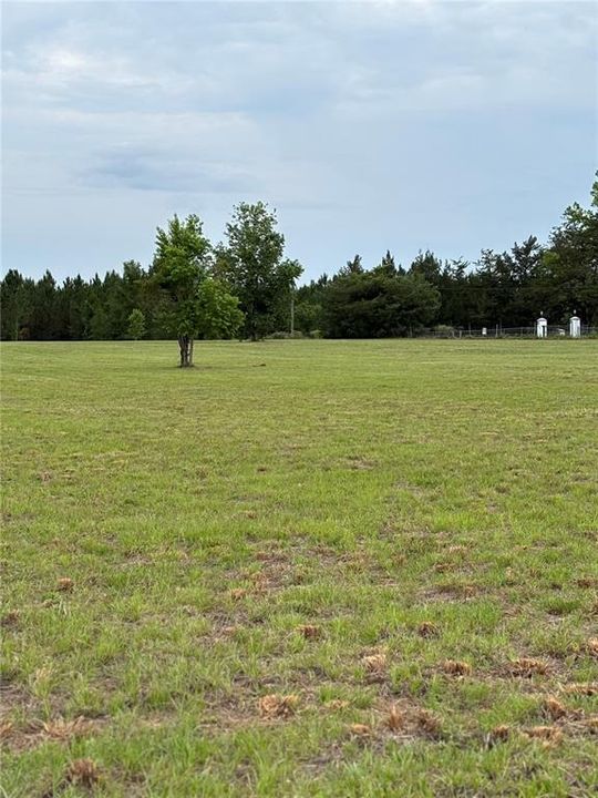 For Sale: $125,000 (5.01 acres)