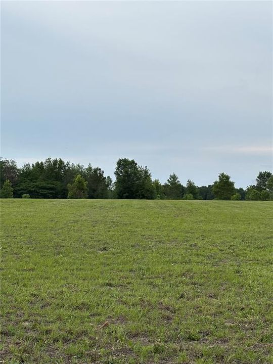 For Sale: $125,000 (5.01 acres)