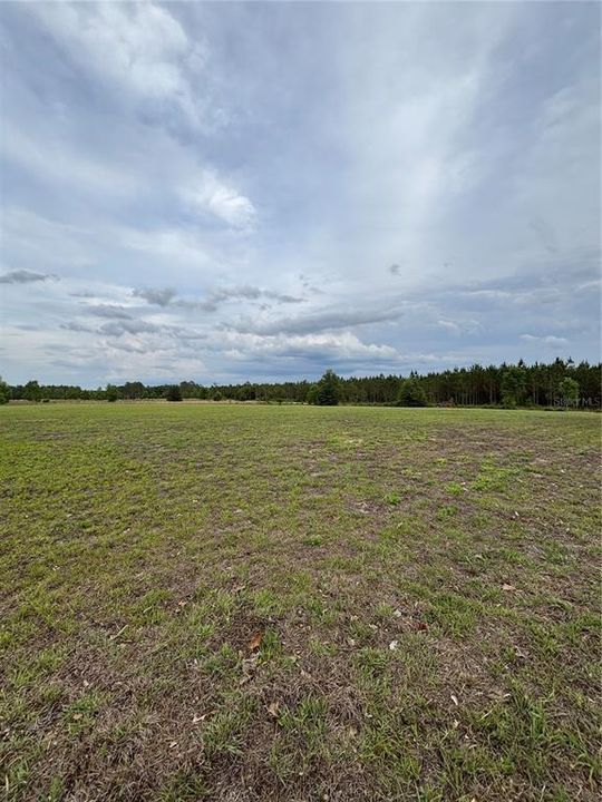 For Sale: $125,000 (5.01 acres)