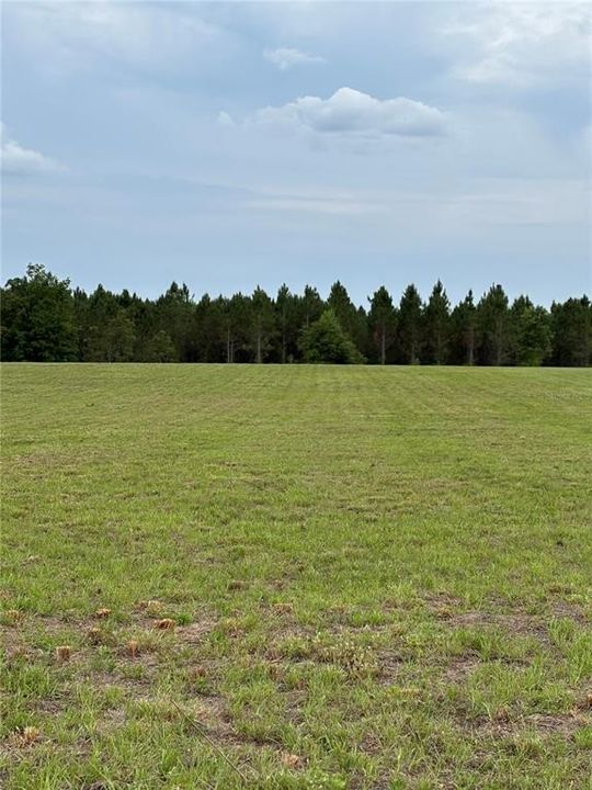 For Sale: $125,000 (5.01 acres)