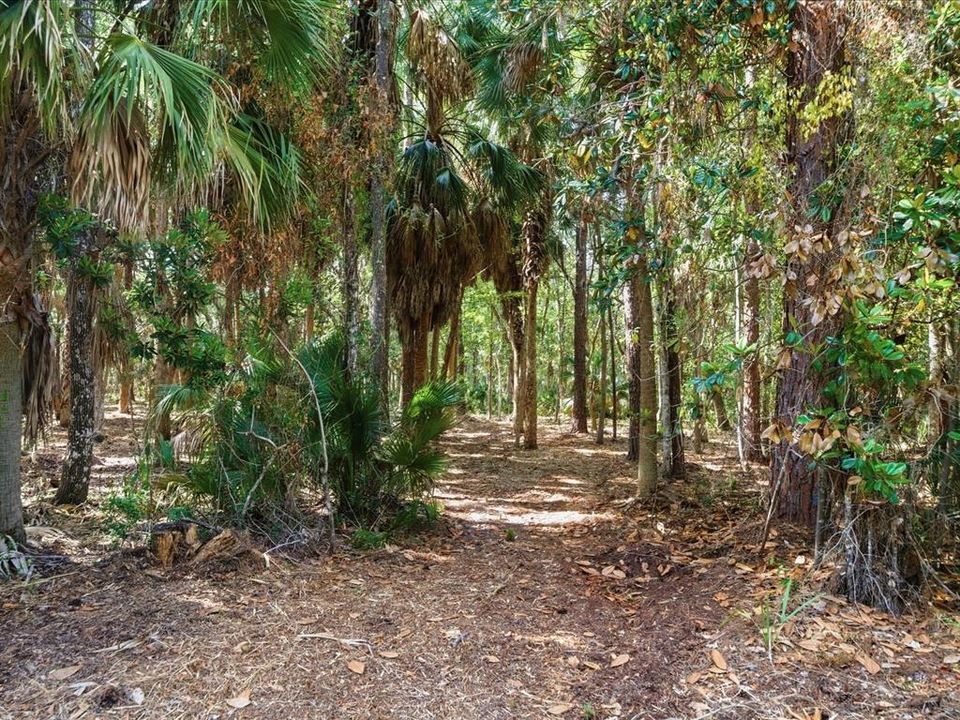 For Sale: $200,000 (3.90 acres)