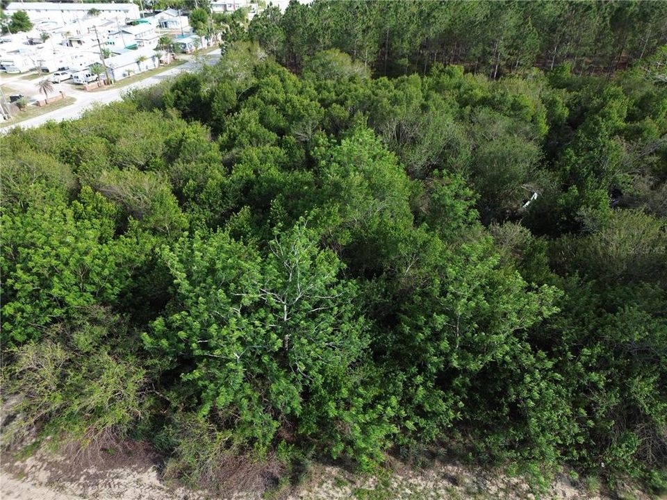 На продажу: $169,900 (4.49 acres)