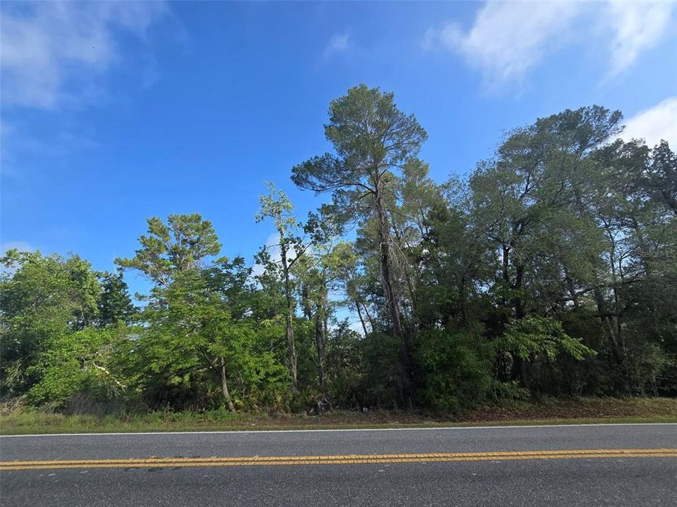For Sale: $62,000 (0.46 acres)
