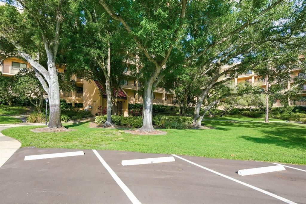 Activo con contrato: $220,000 (2 camas, 2 baños, 1350 Pies cuadrados)