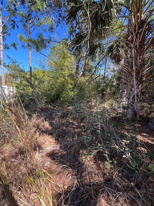 待售: $21,500 (0.45 acres)