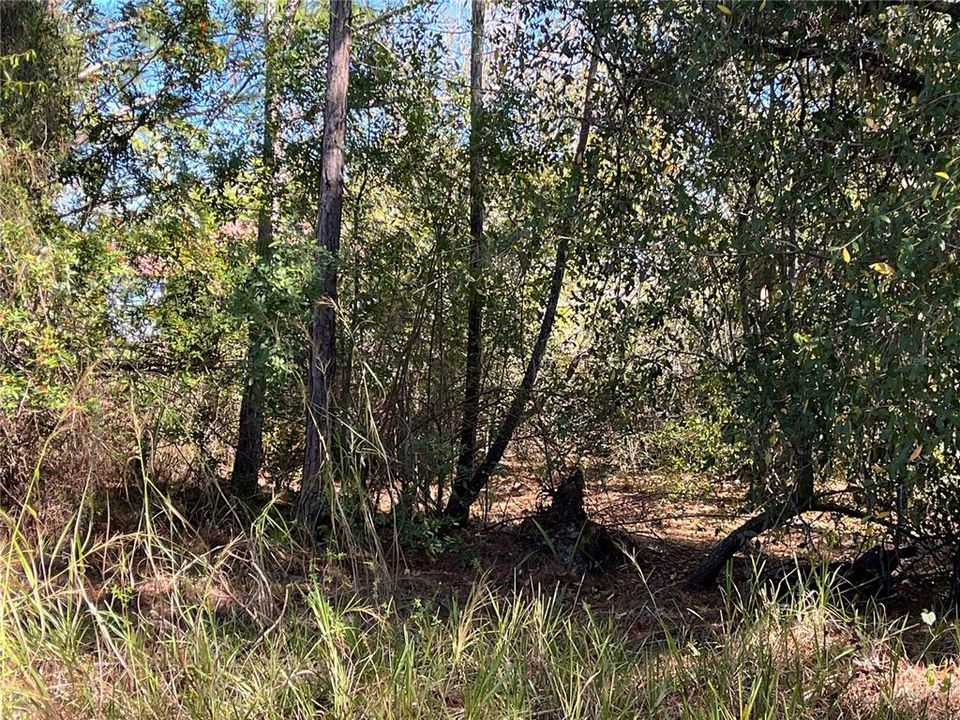 待售: $21,500 (0.45 acres)