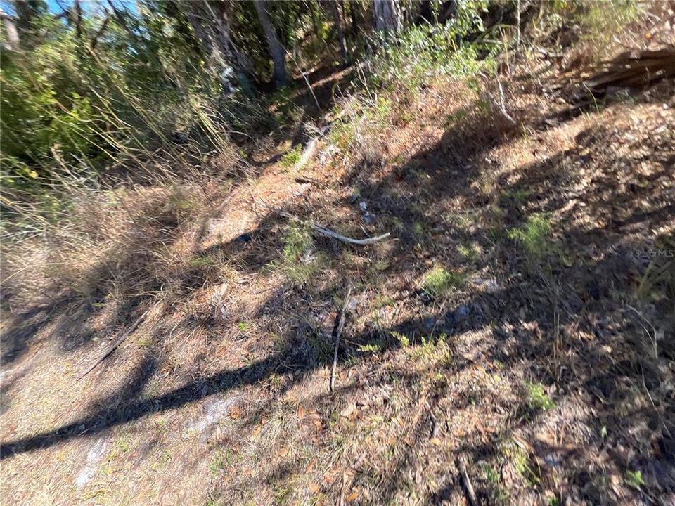 待售: $21,500 (0.45 acres)