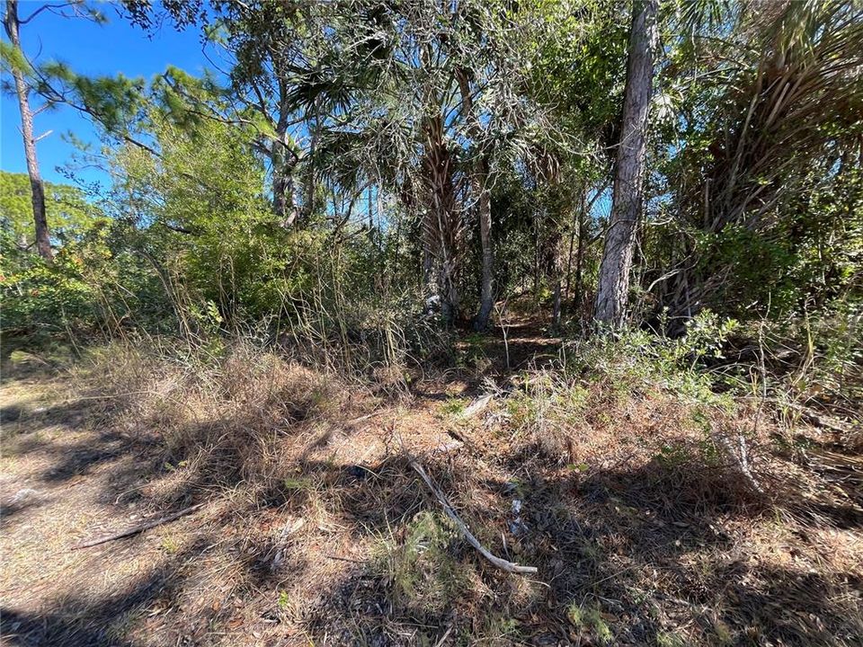 待售: $21,500 (0.45 acres)