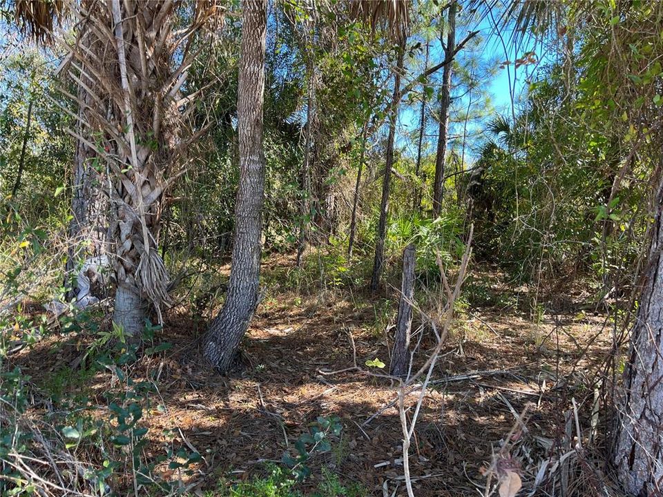 待售: $21,500 (0.45 acres)
