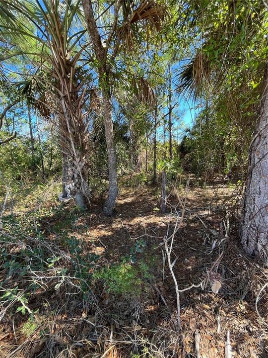 待售: $21,500 (0.45 acres)