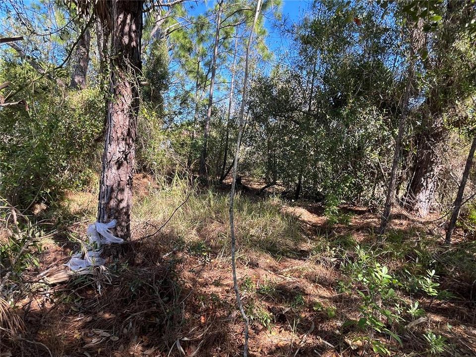 待售: $21,500 (0.45 acres)