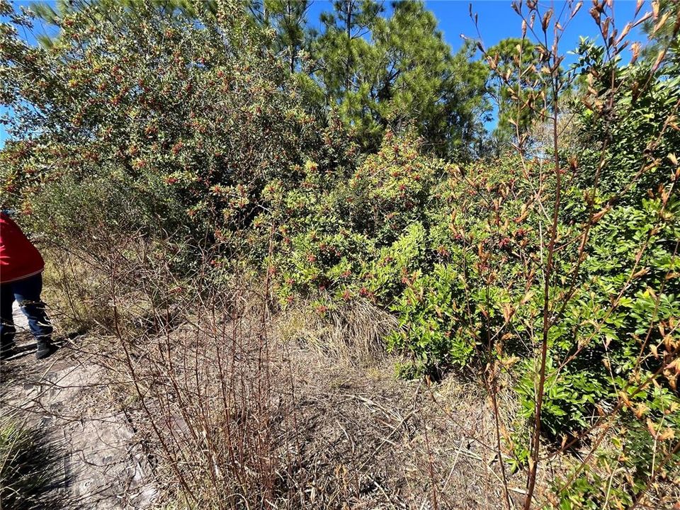 待售: $21,500 (0.45 acres)