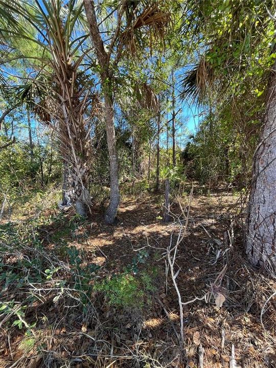待售: $21,500 (0.45 acres)