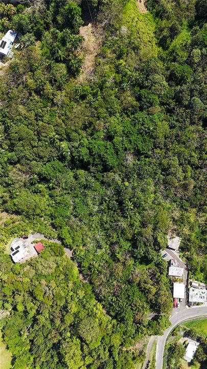 待售: $275,000 (2.45 acres)
