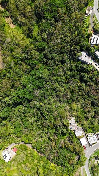 待售: $275,000 (2.45 acres)