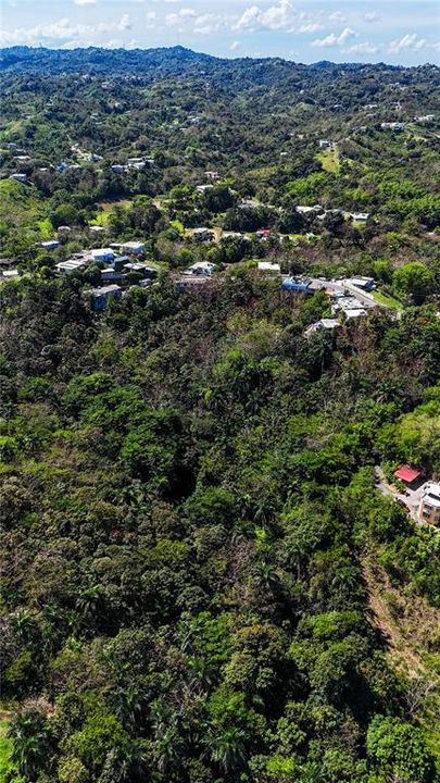 待售: $275,000 (2.45 acres)