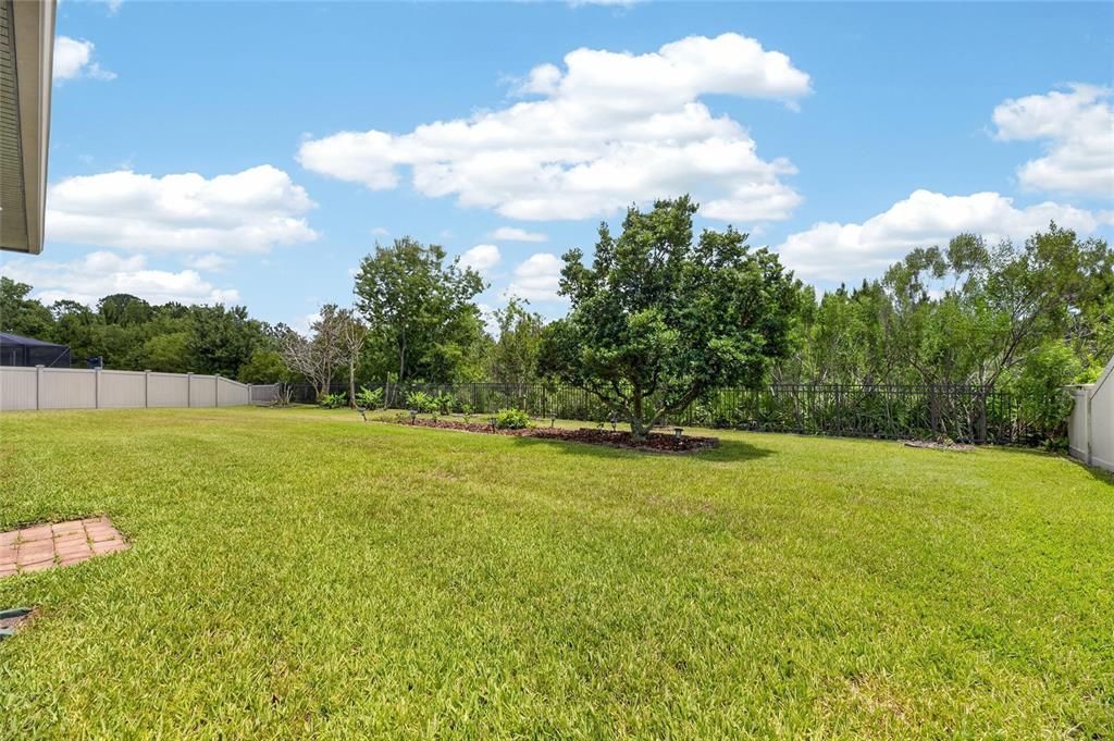 For Rent: $3,400 (5 beds, 3 baths, 2964 Square Feet)