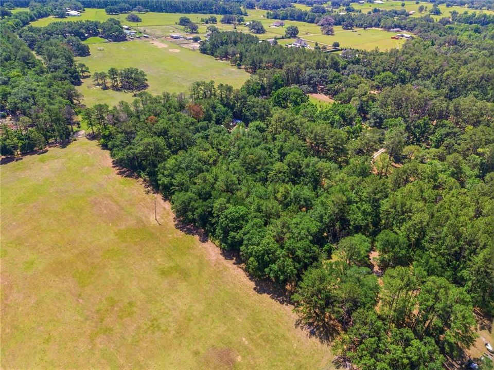 待售: $289,000 (5.00 acres)
